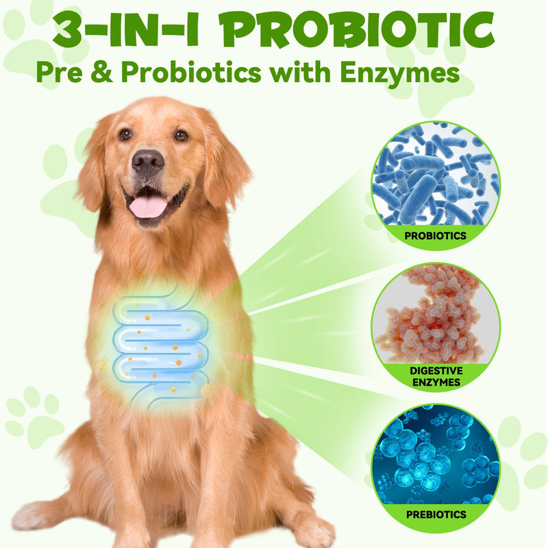 Oimmal Probiotics for Dogs, 3 in 1 Dog Probiotic and Digestive Enzymes for Pet, Supports Gut Health, Itchy Skin, Allergies, Immunity, Liquid Probiotics for for All Ages and Breeds Dogs, blue