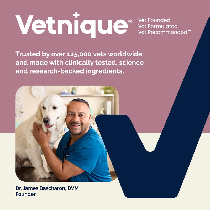 Vetnique Oticbliss Dog Ear Infection Treatment Flush & Ear Cleaner for Dogs & Cats, Antiseptic Antifungal with 0.2% Chlorhexidine and 0.2% Ketoconazole, Medicated Wash for Yeasty Smell, Floppy Ears 6oz Flush