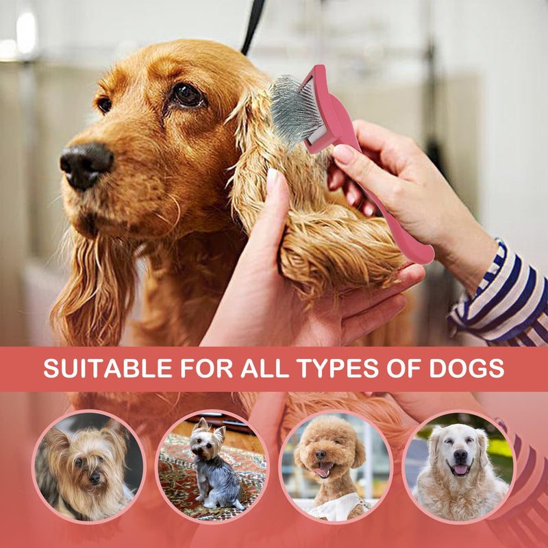 Dog Slicker Brush for Goldendoodles & Golden Doodle Brush for Grooming Kit - Dog Brush for Goldendoodle, Labradoodle, Poodles - Pet Hair Brush for Short & Medium Haired Dogs -Small (Red) - BeesActive Australia