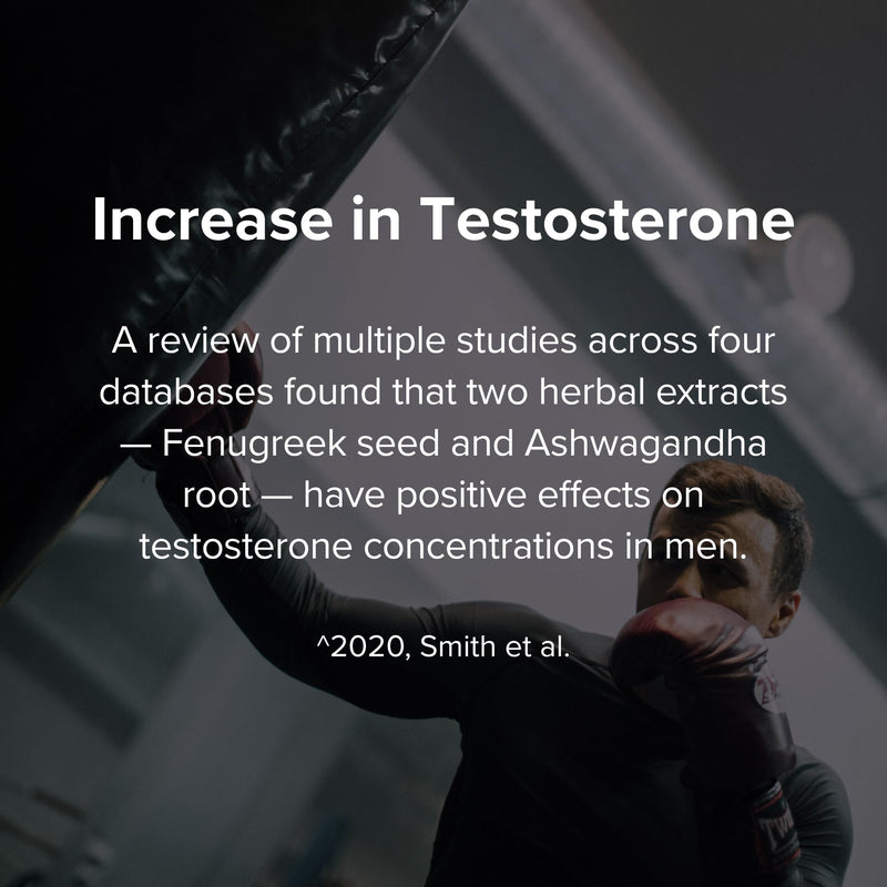 Peak Potential 12-in-1 Testosterone Support for Men | Fenugreek, Ashwagandha & Tongkat Ali - Natural Strength, Energy & Muscle Builder