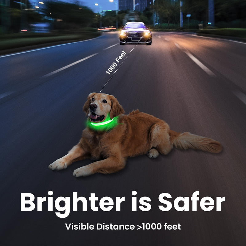 MASBRILL Luminous Dog Collar, Luminous Rechargeable USB-C Dog Collar, LED Collar for Dogs, Adjustable Waterproof, Luminous Dog Collar, 3 Light Modes for Small, Medium, Large Dogs (Green M) Green - BeesActive Australia