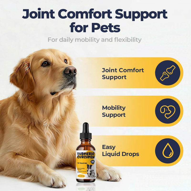 Turmeric Curcumin Drops for Dogs & Cats, Joint Comfort & Mobility Support, High Absorption Liquid Turmeric with Black Pepper, Omega-3 & Vitamin D3, Helps Maintain Flexibility & Daily Movement, 2 fl oz