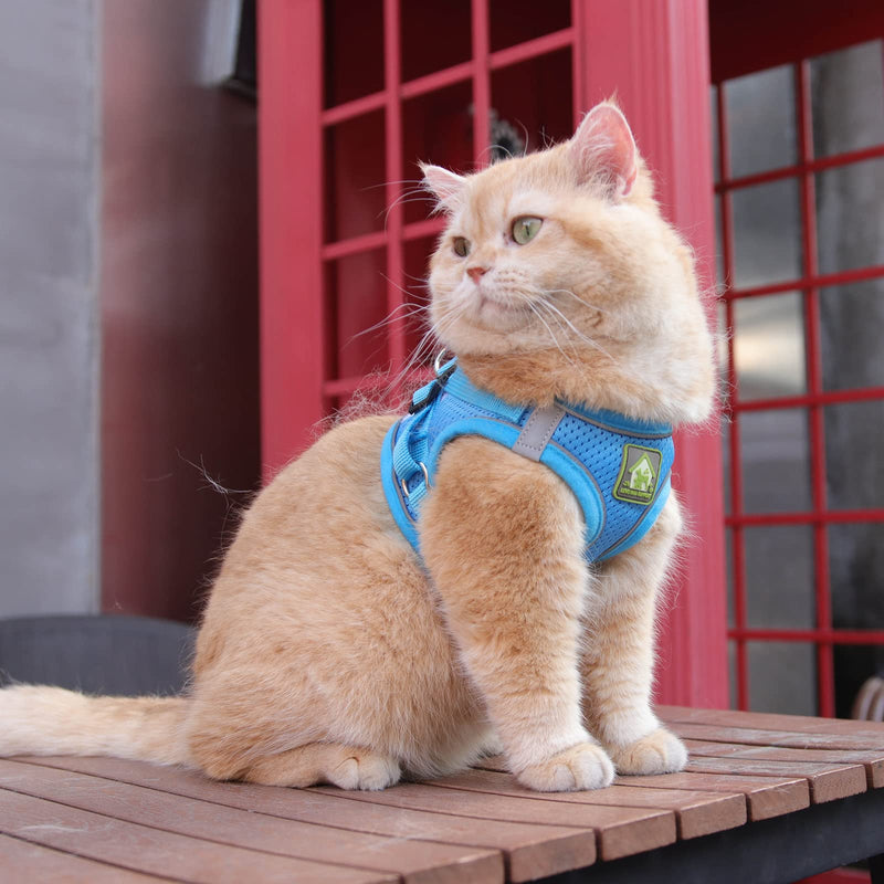 FEimaX Dog Harness with Leash for Small Medium Dogs Cats Soft Mesh Puppy Harness Breathable Chest Harness Adjustable Reflective No Pull Vest Chihuahua Cat XS (Chest 26-29cm) Blue - BeesActive Australia