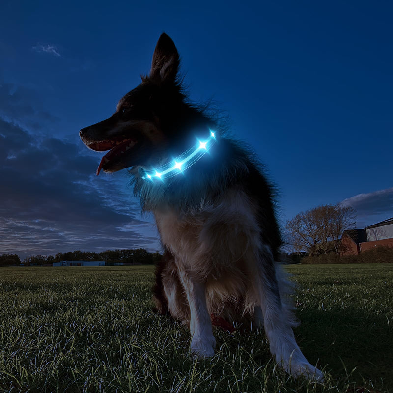 Dog Collar Luminous Rechargeable, Luminous Dog Collar 7 RGB Color Changing with 8 Light Modes, Adjustable LED Waterproof for Small Medium Large Dogs Collar, Black M - BeesActive Australia