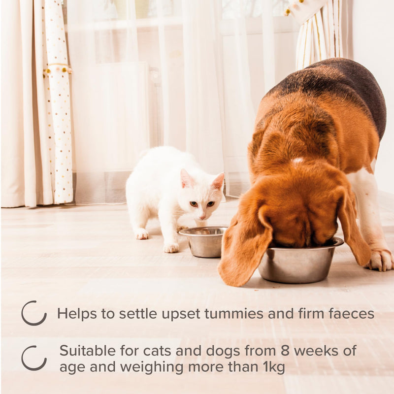 Beaphar – IntestoPro Prebiotic Stool Firming Tablets for Cats and Small Dogs (<20kg) – Natural Active Ingredients – Aids digestive upsets and diarrhoea - Supports Healthy Gut Function – 20 Tablets 20 Tabs Small Dog Tablets