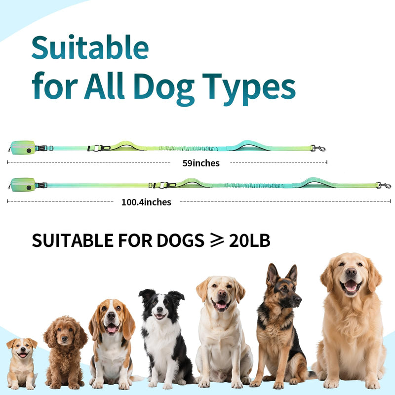 Hands Free Dog Leash with Removable Zipper Pouch, Dual Padded Handles and Durable Bungee for Walking, Jogging and Running-Your Dog (Large, 35-140 lbs-Cyan Cyan