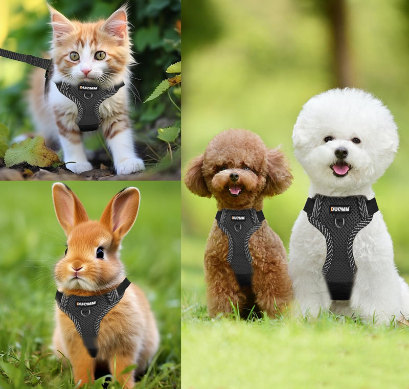 Cat harness with leash set, adjustable cat harness, escape-proof with reflective harness, breathable cat harness and collar set for dogs and cats on walks (S) S - BeesActive Australia