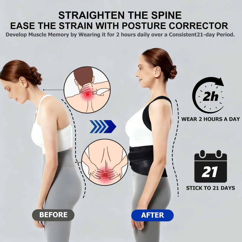 Upgraded Back Brace Posture Corrector for Women and Men - Adjustable Back Brace with Bionic Bone Lumbar Panel for Upper & Lower Back Pain Relief, Sciatica, Herniated Disc XXL(42-46Inch) XX-Large(42-46 Inches) - BeesActive Australia