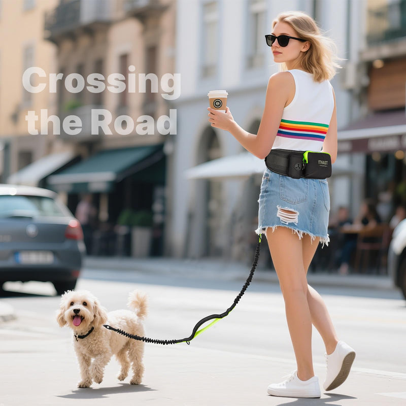 Hands Free Dog Leash for Medium Large Dogs, Waist Support Padded Bungee Dog Running Leash with Reflective Stitching for Walks, Jogging, Running, Hiking, and Dog Training for One Dog Black/Green - BeesActive Australia