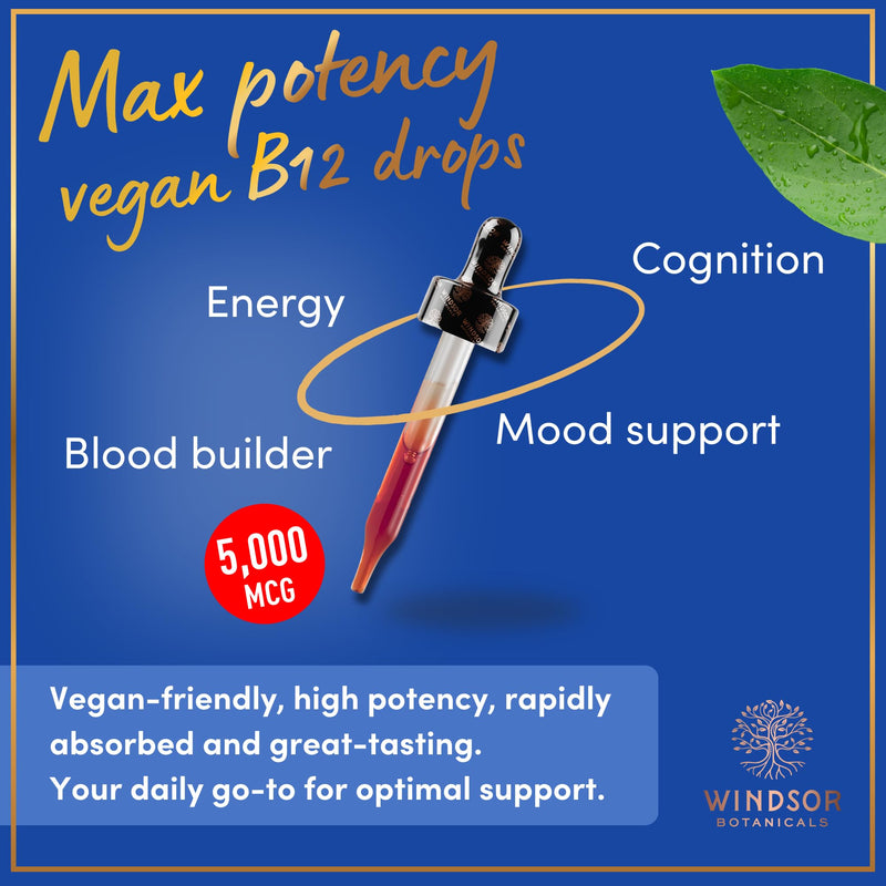 Vegan Vitamin B12 Liquid - Max Strength Methylcobalamin B12 Sublingual 5000 mcg - Fast Absorbing Supplement for Mood, Memory and Energy Support - Non-GMO, Gluten-Free, Citrus Flavor B 12 Drops, 2oz 2 Fl Oz (Pack of 1)