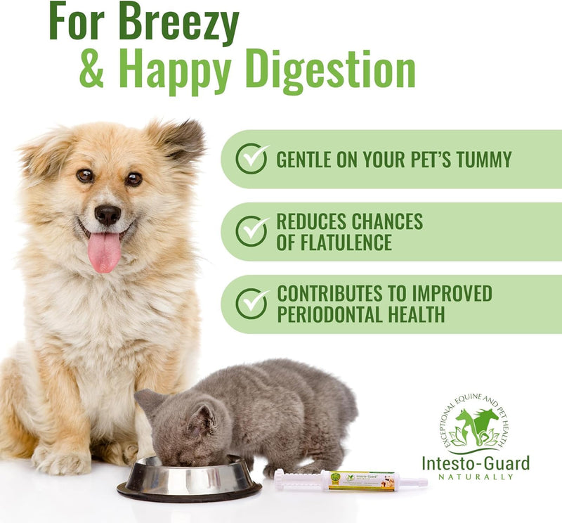 Probiotics Paste for Dogs Prebiotic for Canine, Gut Support, & Immune Boost, All Natural with 1 Billion per ML Includes (MOS)+ Beta Glucans + D-Mannose, No Animal by-Products - 30ML Single Tube 30ML Tube