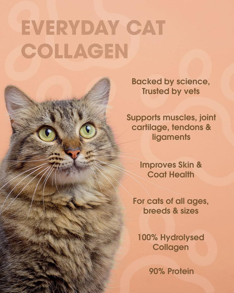 Everyday Collagen for Cats - Bioactive Cat Supplement for Hip & Joint Care - Easily Digestible Vet-Trusted Cat Collagen Powder for Mobility & Skin Health (75g Powder)