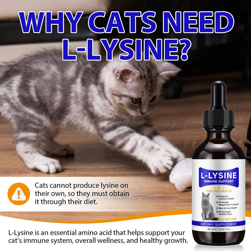 Lysine for Cats, L-Lysine Supplement Liquid Drops for Cats Supports Immune & Respiratory Health,Helps with Sneezing, Eye Discharge and Watery Eyes
