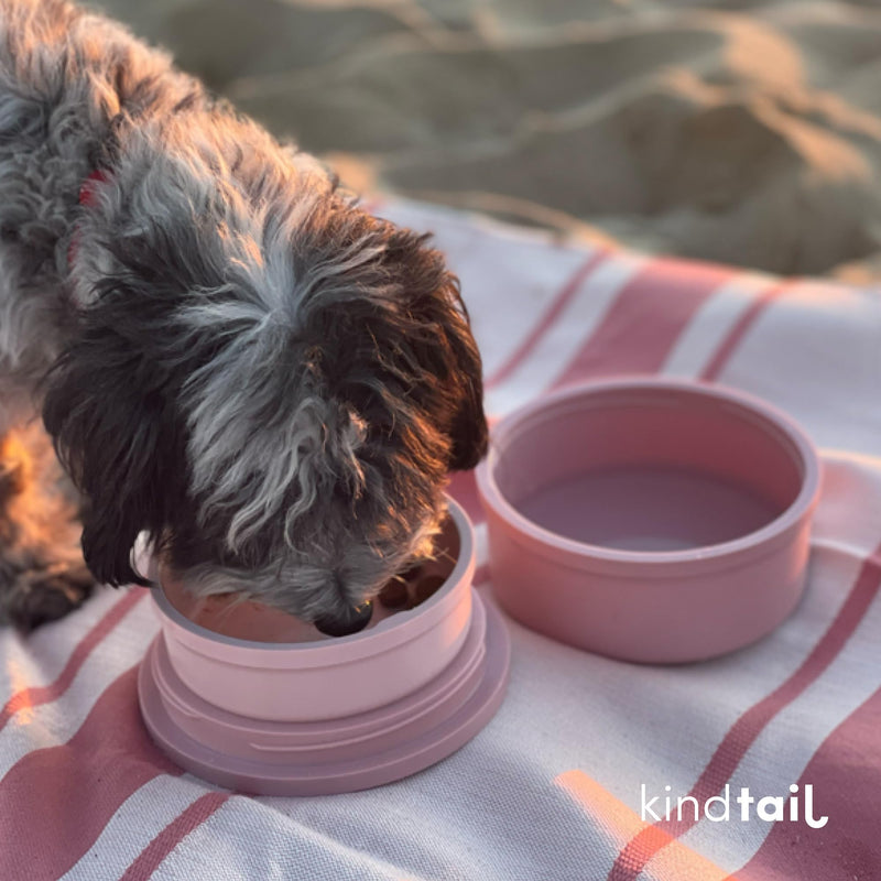 KindTail Bowls, Travel Dog Bowls, Portable Pet Bowls, Microwave and Dishwasher-Safe Dog Bowls with Lid and Handle, Inner Bowl with 10oz Capacity and Outer Bowl with 20oz Capacity… (Small, Rose Pink) Small - BeesActive Australia