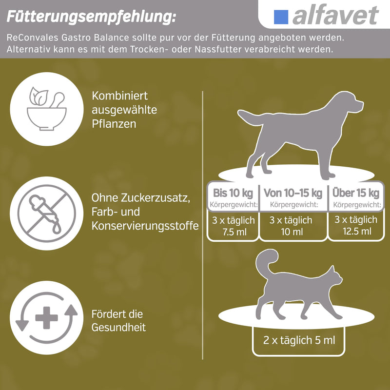 alfavet, ReConvales Gastro Balance for cats and dogs, for the care of the gastric mucosa with acidity regulator, supplementary feed, 3 x 90 ml - BeesActive Australia