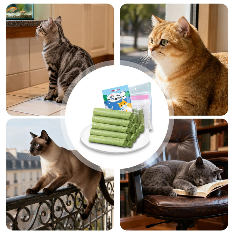 Cat Grass Teething Stick Grass for Indoor Cats, Dental Treats Cat Chew Sticks Cats Teeth Cleaning Treats Natural Grass Catnip Stick Catnip Teething Toy Dental Sticks for Hairball Removal (12 Pcs) 12 Pcs