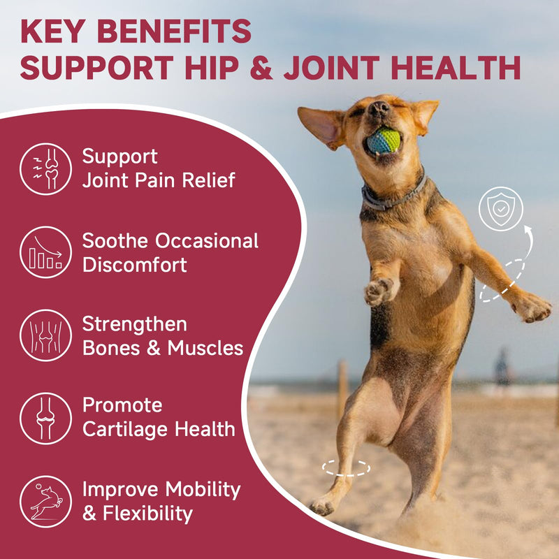 Hip & Joint Supplement for Dogs, Glucosamine for Dogs with MSM, Chondroitin, Omega-3, Turmeric, Calcium - Dog Joint Supplement for Dog Joint Pain Relief & Bone Health Support, 180 Freeze-Dried Chews 180 Bites