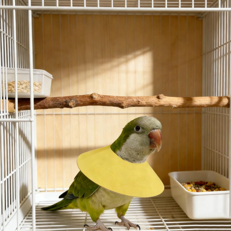 4 Pack Parrot Recovery Collar, Anti-Bite & Anti-Plucking Protective E-Collar for Budgies, Lovebirds, Cockatiels & Small Birds, Features Adjustable Velcro to Aid Wound Healing.
