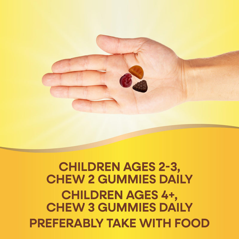 Nature's Way Alive! Children's Premium Gummy Multivitamin, 90 ct