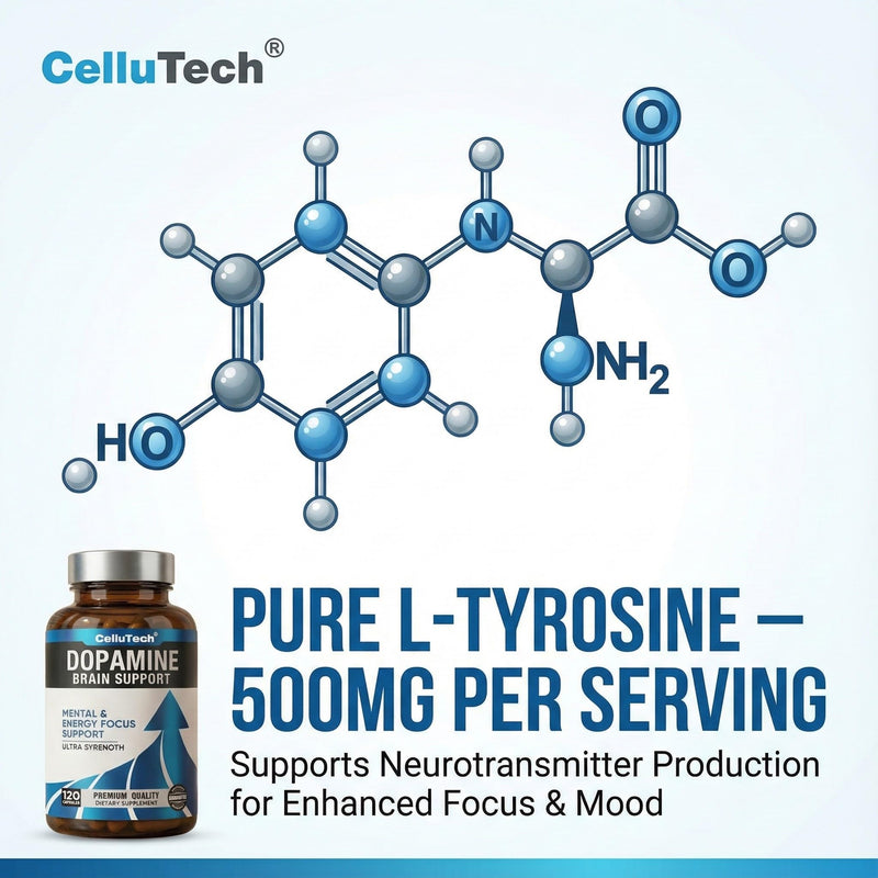 L-Tyrosine Dopamine Brain Food Supplement | Mental Energy & Focus Support with B Vitamins | Cognitive Health & Mental Drive, Vegan Capsules,120 Count