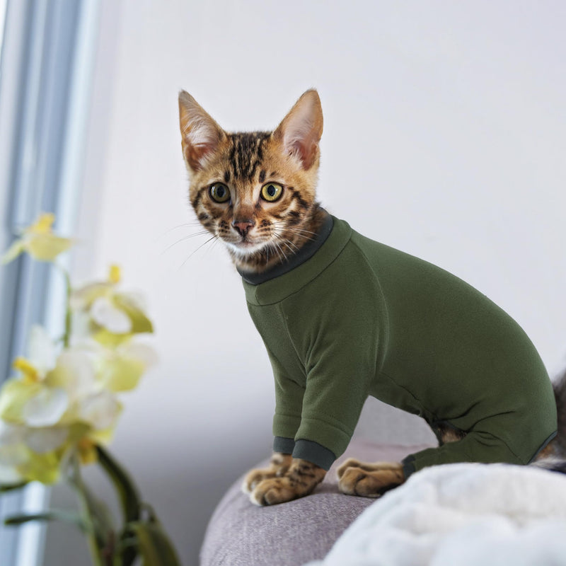 PUMYPOREITY Sticky Hair Cat Clothes, Prevent Hair Loss Cat Pajamas, Soft Cat Sweaters for Cats Only, Cat Hair Sticky Onesie, Cat Recovery Suit After Surgery, Green, M Medium - BeesActive Australia
