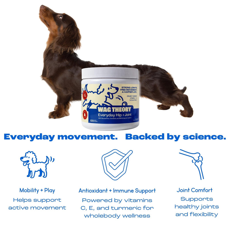 Hip & Joint Supplement for Dogs – Glucosamine Chondroitin MSM – Dog Joint Supplement & Mobility Support Chews with Turmeric & Yucca – Arthritis Support – 120 Soft Chews