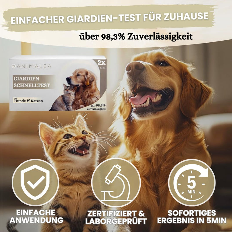 Giardia Quick Test for Dogs and Cats, Giardia Test Reliable as Test for Intestinal Parasites and Diarrhoea, for Dogs and Cats, Pack of 2