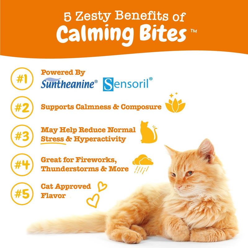 Zesty Paws Calming Chews for Cats - Composure & Relaxation for Everyday Stress & Separation - with Ashwagandha, Organic Chamomile, L-Theanine & L-Tryptophan – Bacon - 60 Count - Cat Cat - Bacon 60 Count (Pack of 1)