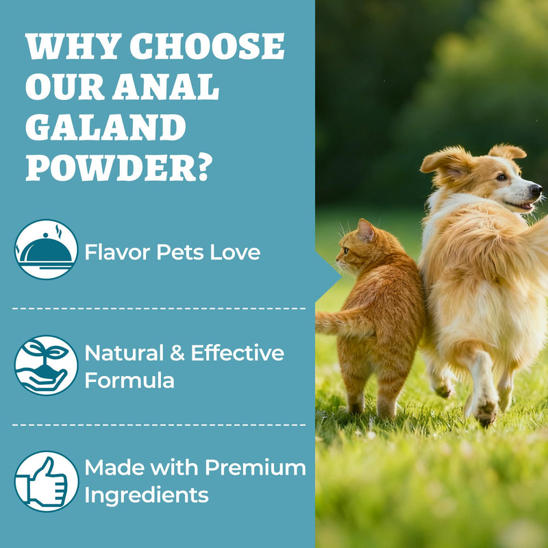 Wellix 7.05 oz Cat & Dog Anal Gland Treatment Powder with Psyllium Husk, Natural Pumpkin Cranberry Formula Dog Analgland Treatment, for Cat & Dog Gas Relief, Digestive Support - Chicken Flavor