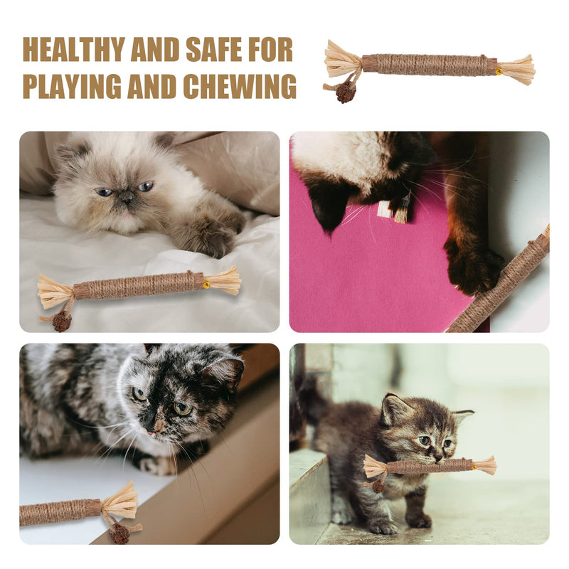 KINBOM 4pcs Cat Chew Toys Natural Silvervine Dental Chew Sticks Cleaning Teeth Chew Catnip Toys for Treat Lick