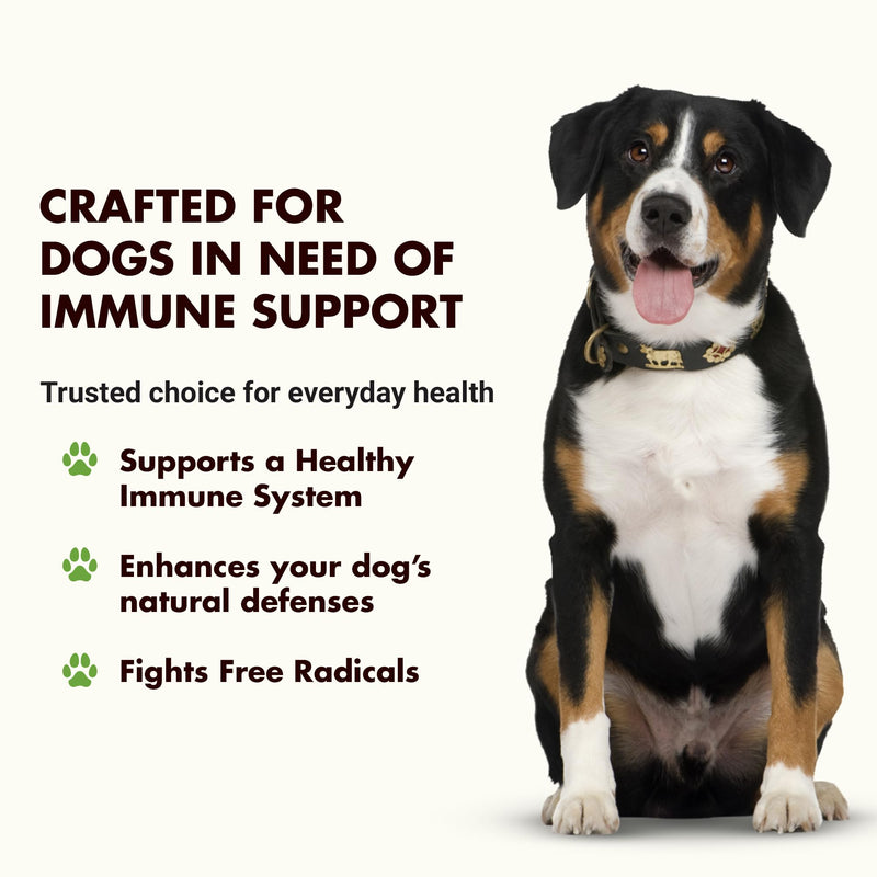 Liquid-Vet Immune Support for Dogs – Antioxidant Protection & Gut Health – Inulin, Beta-Glucan & Omega-3s / Fish Oil & More! - Made for Picky Eaters Chicken 32 Fluid Ounces