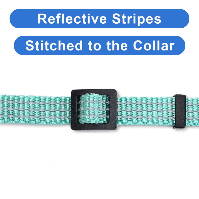 Pawtitas Reflective Cat Collar with Safety Buckle and Removable Bell Cat Collar Kitten Collar Teal Cat Collar ⚡️ Reflective Teal - BeesActive Australia