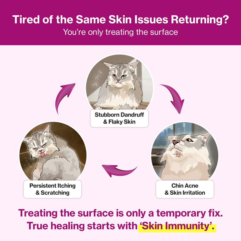 Doctor By Cat Silk Derma Skin and Coat Supplement for Cats Itch Skin Relief, Dandruff Treatment Scab, Overgrooming, Allergy Relief for Cats 30 lickable Formula Individually Packaged, Chicken(1 Pack)
