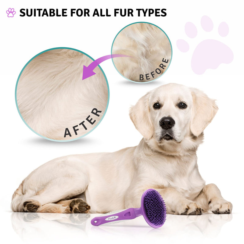Detangling Pet Comb + Dematting Fur Rake Brush Tool + Round Bristle Pet Brush Bundle - BeesActive Australia