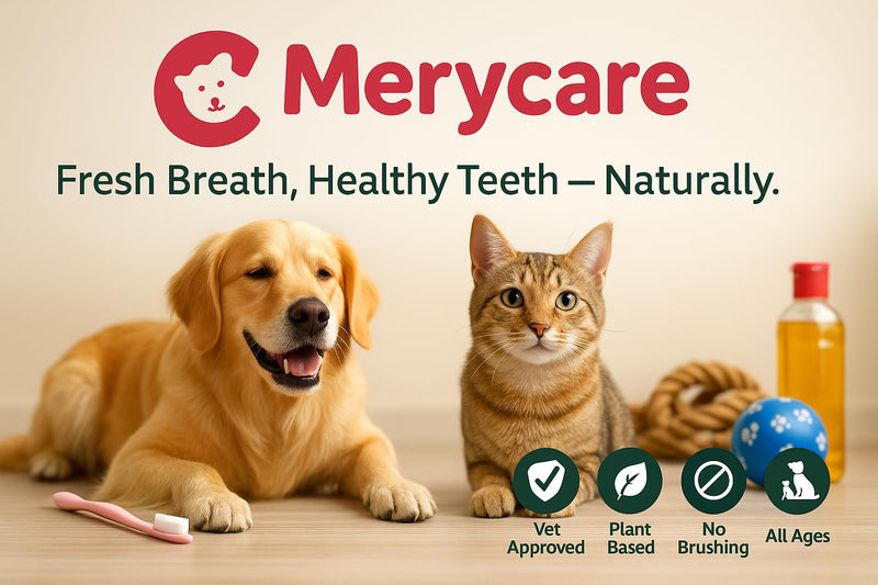 Pure Plaque Off Vet-Approved Dental Powder for Dogs & Cats | 100% Natural Teeth Cleaner with Seaweed | Plaque & Tartar Remover | Freshens Breath | No Brushing Needed (50g)