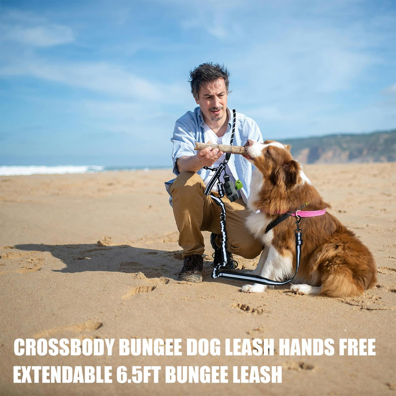 Double Dog Leash - Hands Free Dog Leash Crossbody & Waist for Dog Walking - Tangle-Free Bungee & Padded Handles for Medium & Large Dogs, Black