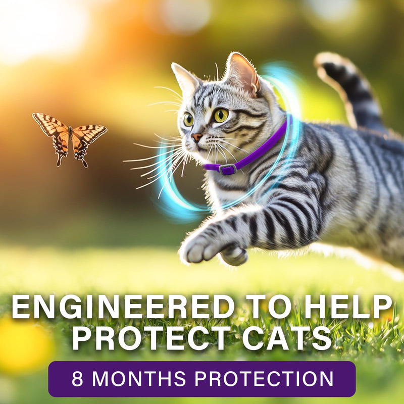 Tick flea collar for cats, flea collar for cats, effective protection for 8 months, adjustable and waterproof, suitable for all cats 1 piece - BeesActive Australia