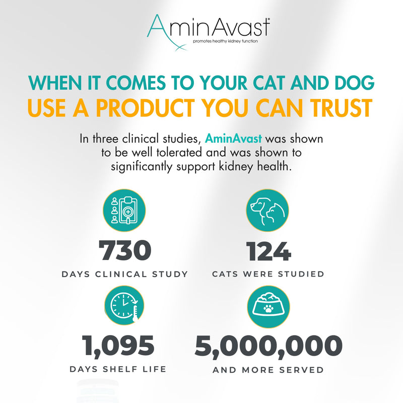 AminAvast Small Dogs & Cat Kidney Support - Promotes Healthy Kidney Support in Cats & Small Dogs - 300mg (60 Chews) 300mg (60 Chews)
