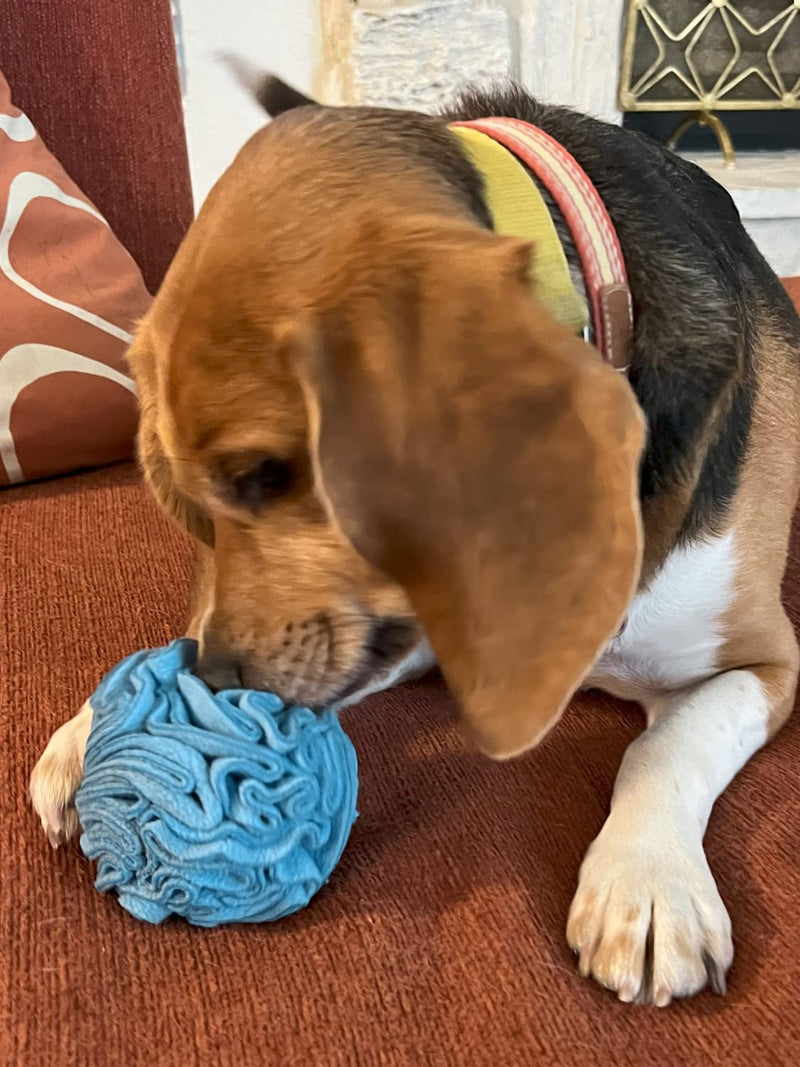 Puppy and Small Breed Snuffle Interactive Foraging Dog Puzzle Ball Toy Blue - BeesActive Australia