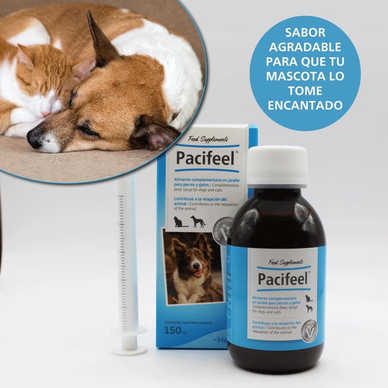 Heel - Pacifeel Syrup, Food Supplement for Dogs and Cats with Melissa and Passionflower, Promotes Relaxation and Controls Stress and Anxiety Naturally, with Good Taste - 150ml
