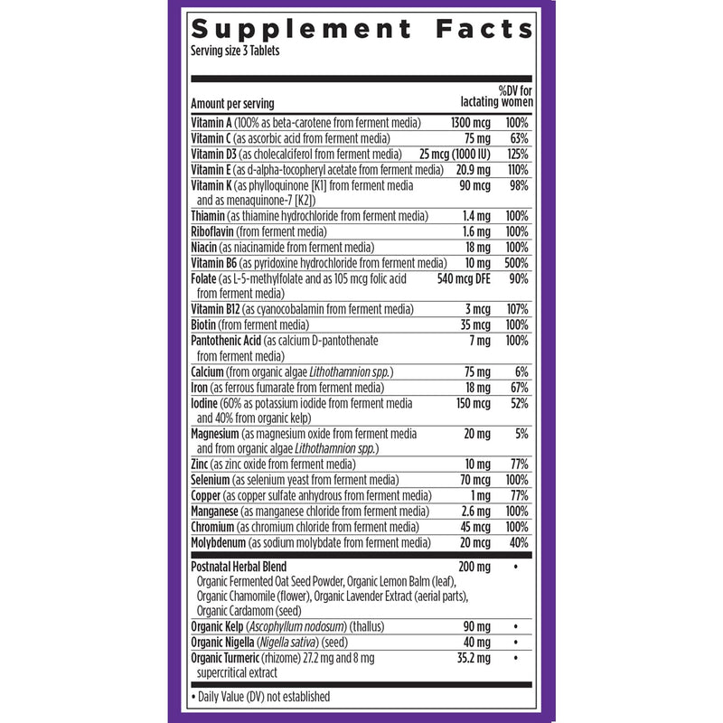 New Chapter Postnatal Vitamins Lactation Supplement, 192 Count | Complete Multivitamin with Fermented Vitamin D3 and B Vitamins, Made with Organic Vegetables and Herbs, Non-GMO 192 Count (Pack of 1)
