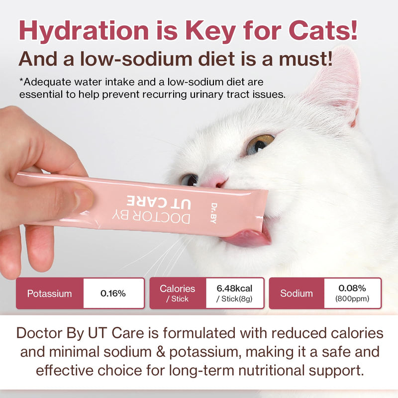 Doctor By UT Care Cat UTI Kidney Support Urinary Supplement Cranberry Treatment for Cats Renal Health with Pacran, Quercetin, Taurine lickable Formula Individually Packaged (1 Pack) 1 Pack