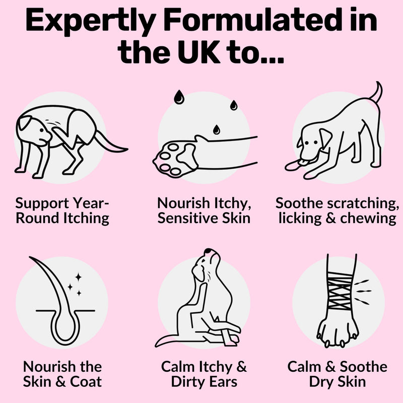 NutriPaw Vegan All-Itch Treats For Dogs - Soothe Itchy Paws, Eyes, Ears, Skin - Stop Itching, Licking, Scratching - Perfect for Small, Medium & Large Dogs - Supports Seasonal Itching