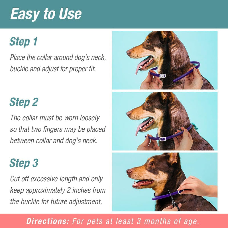 Flea & Tick Collar 2-Pack Gray, Protects from Biting Insects, Adjustable Fits Both Dogs & Cats, Built-in Plant Based Formula, Slow Release Lasting Protection, Waterproof Grey - BeesActive Australia