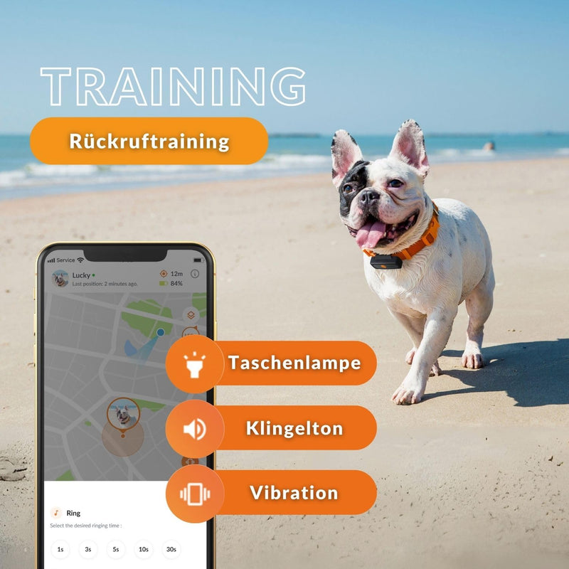 Weenect XS for dogs - NEW mini GPS tracker for dogs | Real-time GPS tracking | Smallest model on the market | Subscription | Waterproof Black (2023) - BeesActive Australia