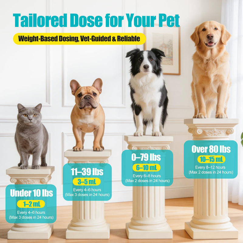 Activated Charcoal for Dogs & Cats (60 cc) – Quick Digestive Support Oral Paste for Occasional Upset Stomach, Loose Stool & Gas, Toxin Absorbing Aid, Animal Use Only, Made in USA