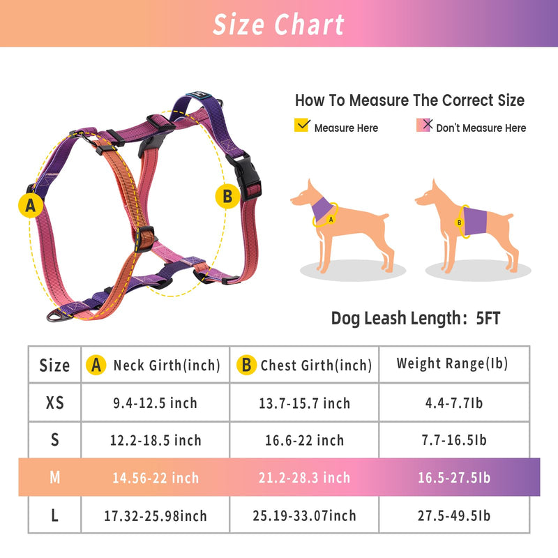 Roses&Poetry Dog Harness with Leash, No Pull Adjustable Harness Leash, Reflective Dog Halter Harnesses Comfort Padded Handle, Pet Walking Harness for Medium Dogs（Mistyrose-M） Mistyrose - BeesActive Australia