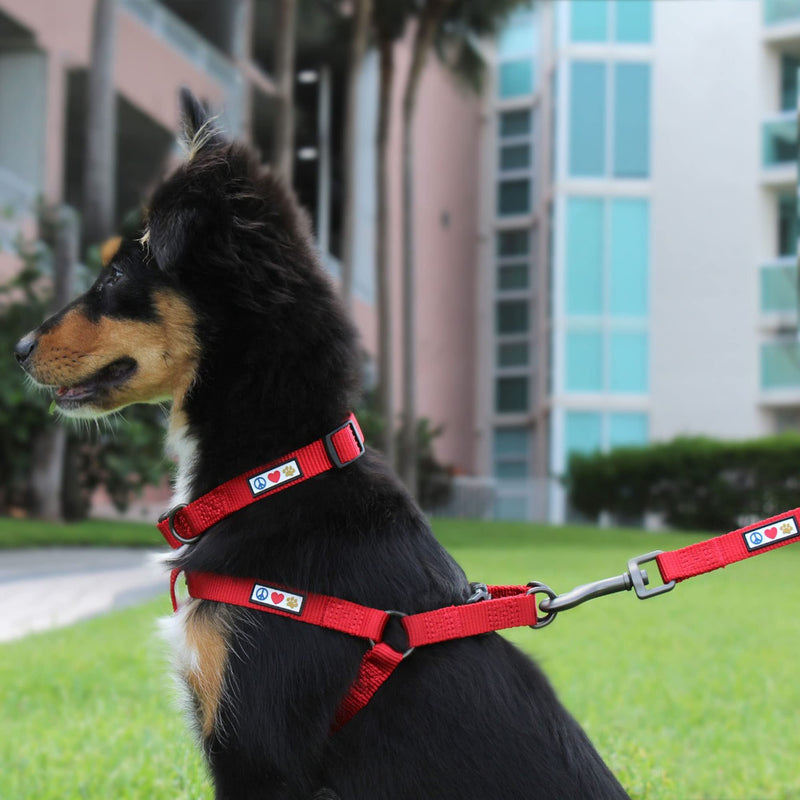 Pawtitas Solid Color Step in Dog Harness or Vest Harness Dog Training Walking of Your Puppy Harness Small Dog Harness Pink Cherry Blossom Dog Harness Small (Pack of 1) Light Pink ✅ Solid - BeesActive Australia