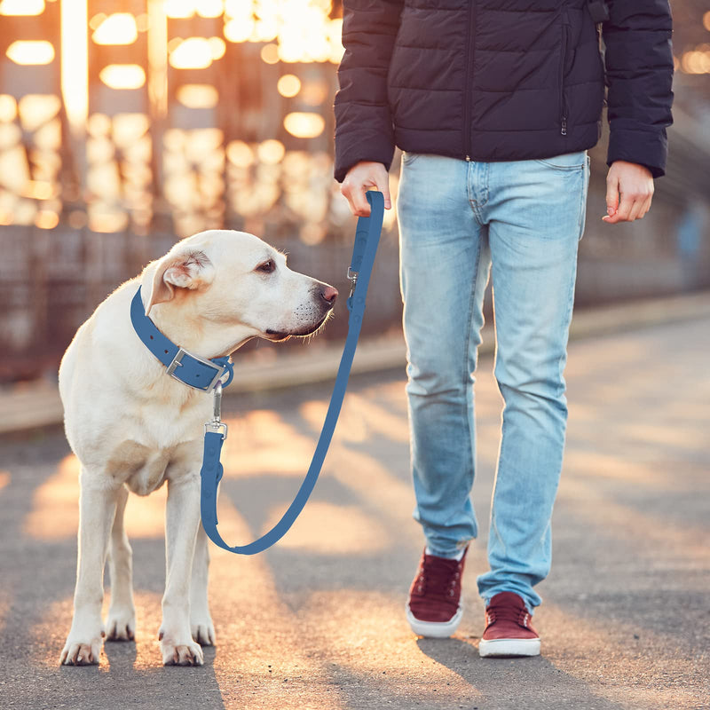 Wisedog Waterproof Dog Leash – 5ft/6ft Adjustable with 2 Metal Swivel Hooks, Easy to Clean Dog Leashes for Small, Medium, Large Breed Dogs (Navy,M) 5 ft × 3/4 in Navy