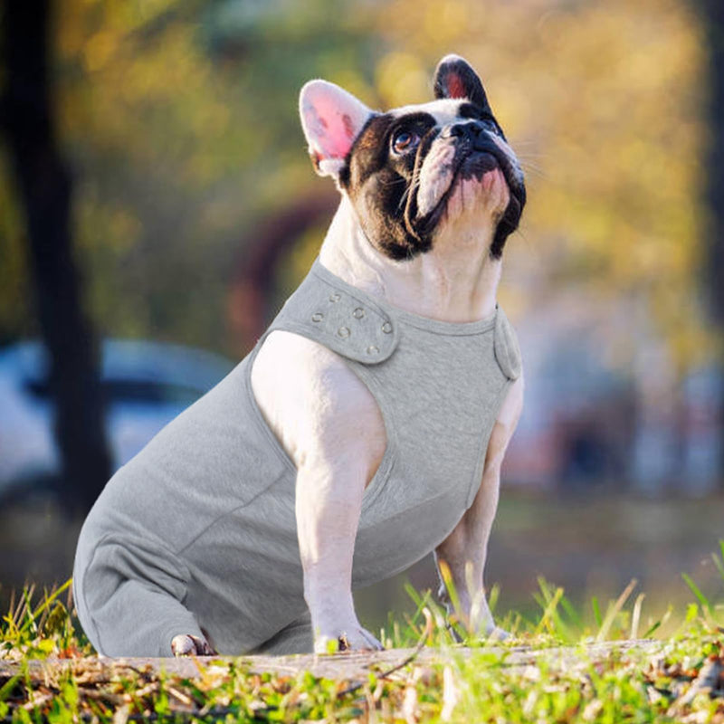 Katzinst dog bodysuit after surgery, dog costume for dogs after surgery with zip at the back, dog bodysuit after castration male for hair loss, anti-licking, wound protection, cone alternative, SHUHOUFU, grey, L L grey - BeesActive Australia